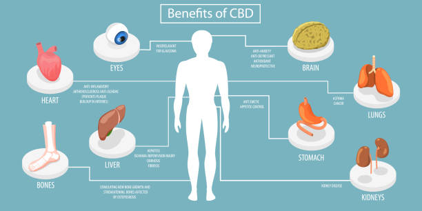CBD and Its Health Benefits on the Body